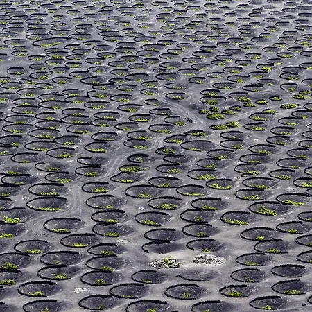 Casa Alvaria Holiday home Punta Mujeres